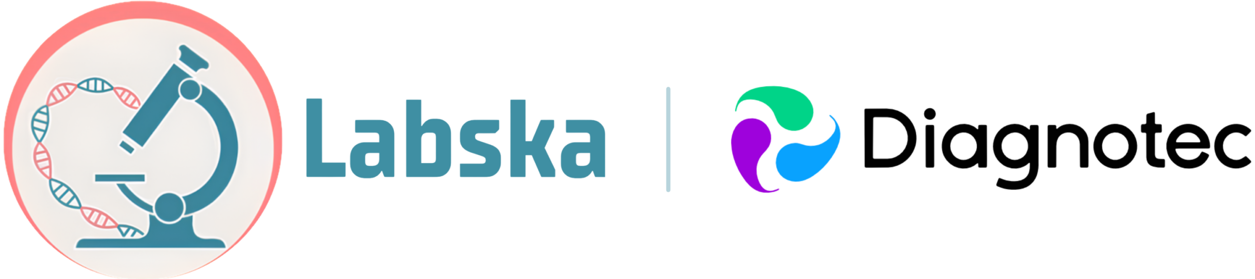 labska logo, link to homepage
