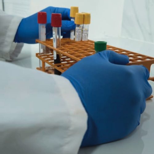 biologia molecular