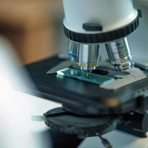 microbiologia