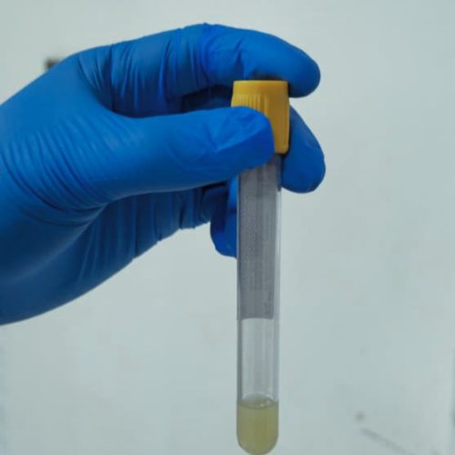 toxicologia